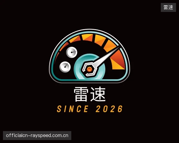 关于雷速团队